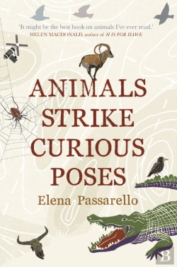 Bertrand.pt - Animals Strike Curious Poses