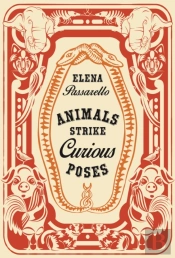 Animals Strike Curious Poses