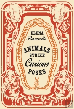 Bertrand.pt - Animals Strike Curious Poses