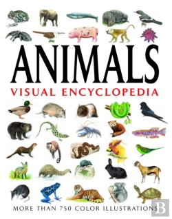 Bertrand.pt - Animals Visual Encyclopedia