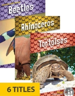 Bertrand.pt - Animals With Armor Set Of 6