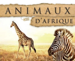 Bertrand.pt - Animaux D Afrique