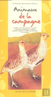 Animaux De La Campagne