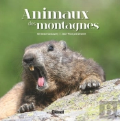 Animaux Des Montagnes
