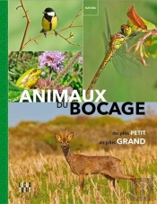 Animaux Du Bocage ; Du Plus Petit Au Plus Grand