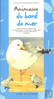 Animaux Du Bord De Mer