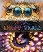 Animaux Énigmatiques : La Vie Secrète Des Animaux Les Plus Impressionnants