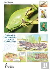 Animaux Étonnants D'Ici Et D'Ailleurs