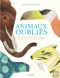 Bertrand.pt - Animaux Oubliés