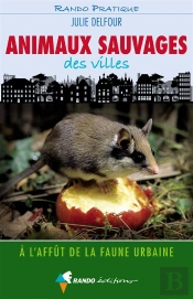 Animaux Sauvages Des Villes