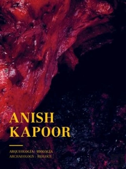 Bertrand.pt - Anish Kapoor