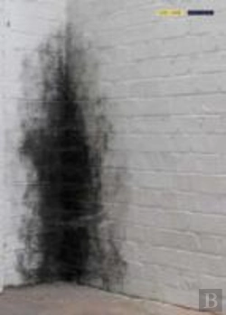 Bertrand.pt - Anish Kapoor Dirty Corner