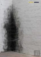 Anish Kapoor Dirty Corner