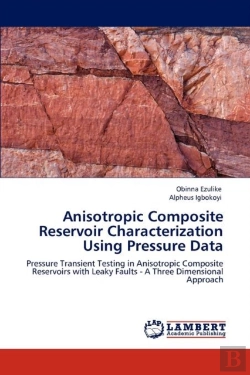 Bertrand.pt - Anisotropic Composite Reservoir Characterization Using Pressure Data