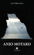 Anjo Motard