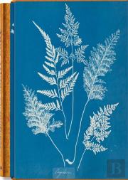 Anna Atkins. Cyanotypes - Edition Multilingue