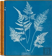 Anna Atkins. Cyanotypes - Edition Multilingue