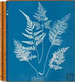Bertrand.pt - Anna Atkins. Cyanotypes - Edition Multilingue