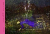 Annelies Strba