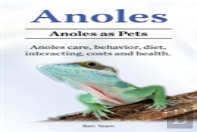 Anoles. Anoles As Pets. Anoles Care, Behavior, Diet, Interacting, Costs And Health.