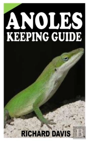 Anoles Keeping Guide