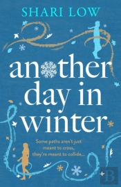 Another Day In Winter