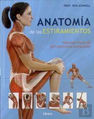 Anotomia de los Estiramientos