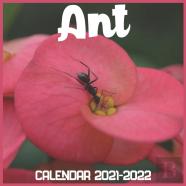 Ant Calendar 2021-2022