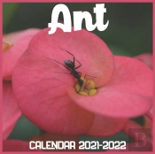 Ant Calendar 2021-2022