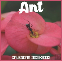 Bertrand.pt - Ant Calendar 2021-2022