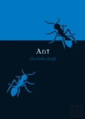 Ant