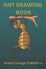 Ant Drawing Book