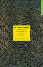 Ant Encounters