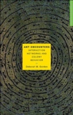 Bertrand.pt - Ant Encounters