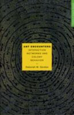 Bertrand.pt - Ant Encounters
