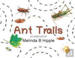 Ant Trails
