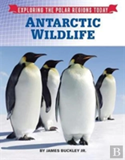 Bertrand.pt - Antarctic Wildlife