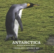 Antarctica: Wonders Of An Icy World
