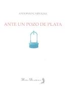 Ante Un Pozo De Plata