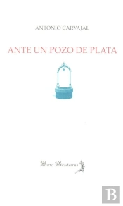 Ante Un Pozo De Plata