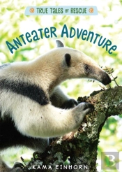 Anteater Adventure