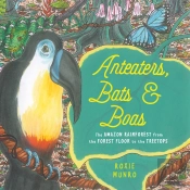 Anteaters, Bats & Boas