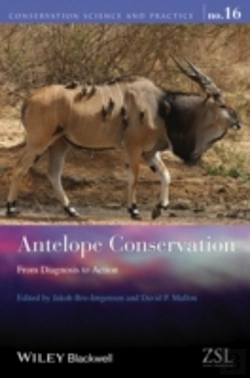 Bertrand.pt - Antelope Conservation