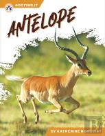 Antelope