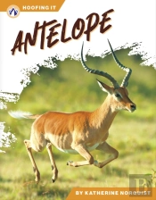 Antelope