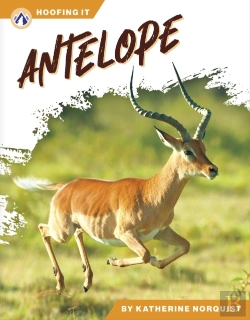 Bertrand.pt - Antelope