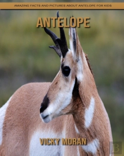 Bertrand.pt - Antelope