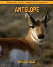 Antelope