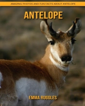 Antelope