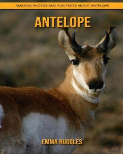 Bertrand.pt - Antelope